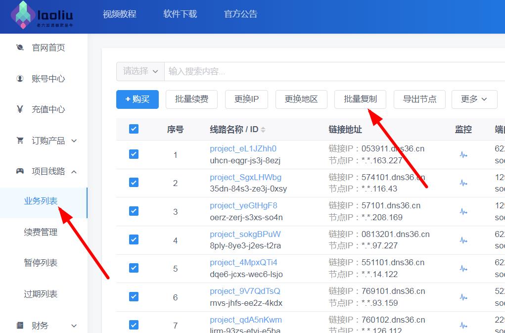 图片[2]-线路IP，多开必备，纯净的Ip，质量很高，挂小草很棒-大财爷